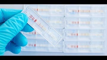 Rapid Diagnostic Kit