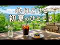 途中広告なし【カフェBGM】心ほどける、初夏のひととき｜緑あふれるカフェで過ごす癒しの時間｜作業用・読書・リラックス