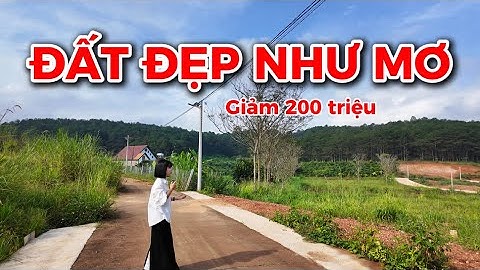 Đất ven Đà Lạt| Mảnh đất đẹp như tranh view thông nay đã giảm giá ! 