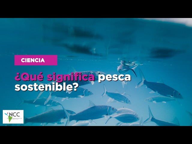 ¿Qué significa pesca sostenible?