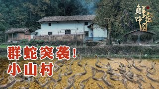 Snakes raided the small mountain village! Tens of thousands of snakes swim ashore from the lake