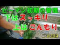 【ピーマン剪定】一番花から下の脇芽は摘み取ってスッキリしましょうNO299