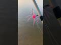 How Do You Make These рџ FUZZY EGGSрџ Godfirst Fishing Baitmaking Bassfishing How Do You Make These рџ FUZZY EGGSрџ Godfirst Fishing Baitmaking Bassfishing