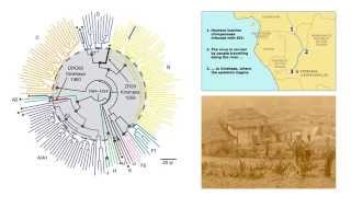 Evolution and HIV for OFNF, Part 2