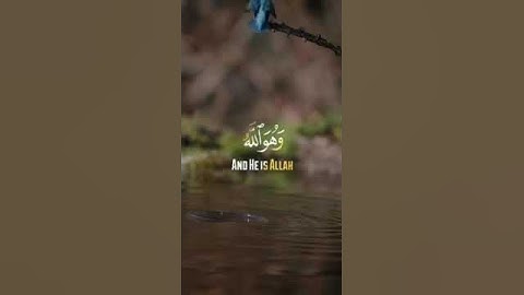 {وَهُوَ ٱللَّهُ لَاۤ إِلَـٰهَ إِلَّا هُوَ ..  }•  القارئ عبدالملك الراجح