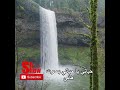 أغنية حياتي يا حياتي بصوت هاني  #سوشو  #shortvideo #shortsviral