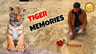 Memories Of Our Bageera(TIGER)