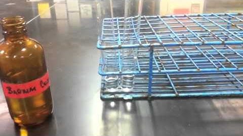 Lab Protocol - Sulfate Ion Detection Assay (Unit 7 Diffusion)