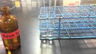 Lab Protocol - Sulfate Ion Detection Assay (Unit 7 Diffusion)