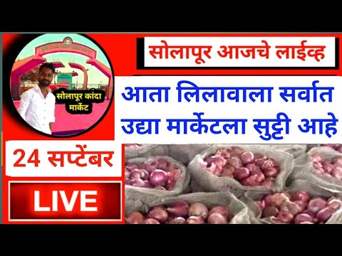 kanda Market bhav / solapur kanda market live today 24 सप्टेंबर