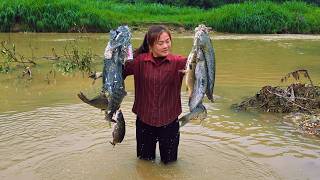Fish traps during flood season - unexpectedly catching many different fish species.