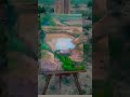 Landscape  oil on canvas  cuddalore  oilportrait paintingstudio rajasekarr