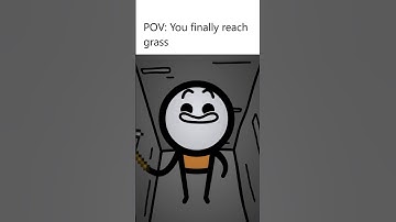 When you finally reach grass #minecraft