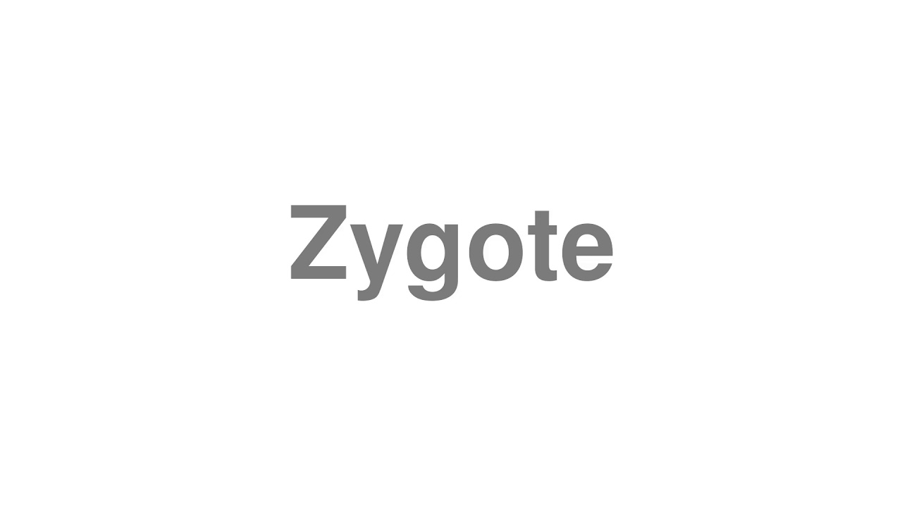 How to Pronounce "Zygote"