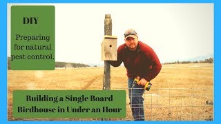 It's for the Birds!  DIY Birdhouse to Promote Natural Pest Control
