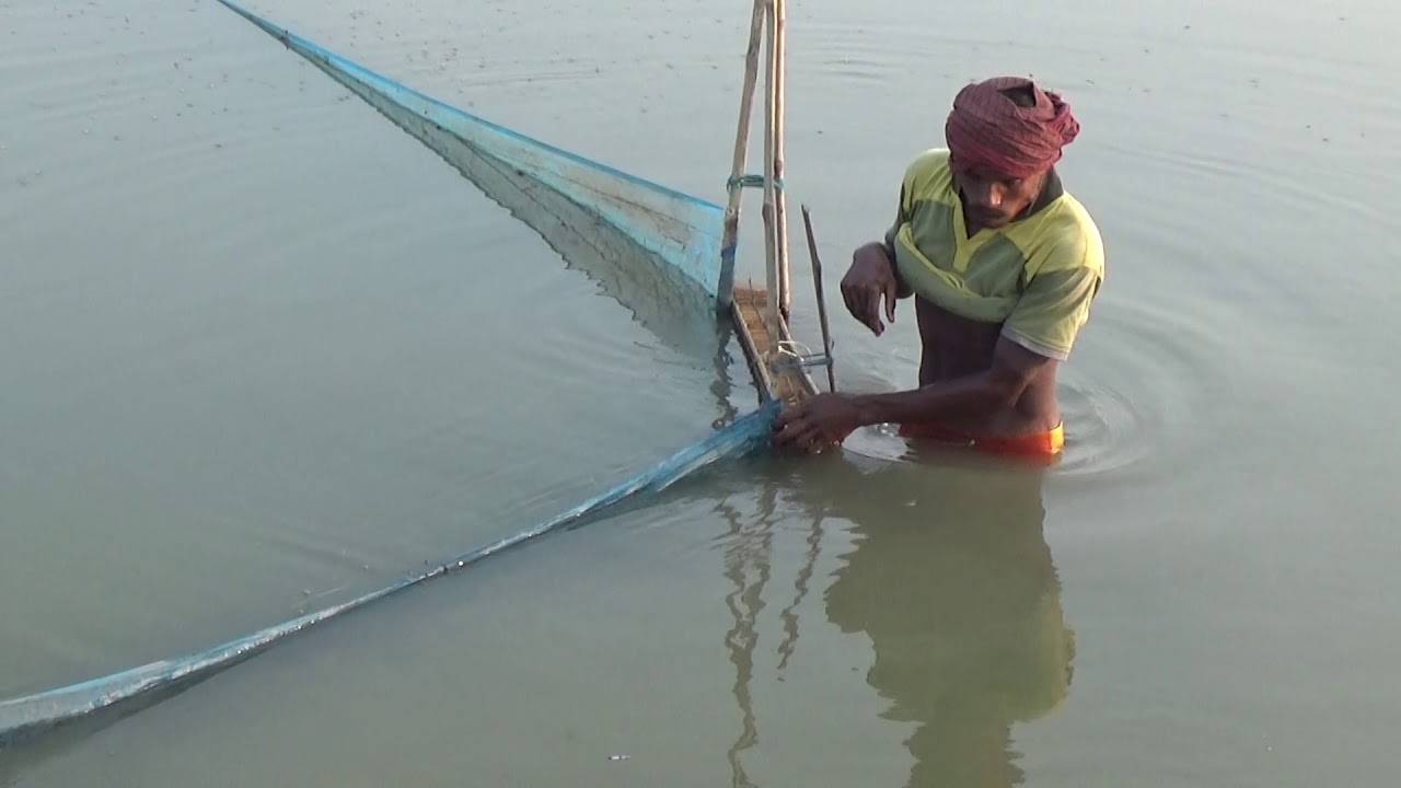 Fishing Tiny Country fish from Bill using bamboo trap