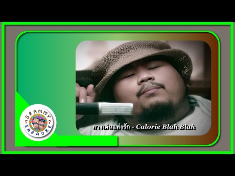 คาราโอเกะ ทางเดินแห่งรัก - Calories Blah Blah [ Original Karaoke ]