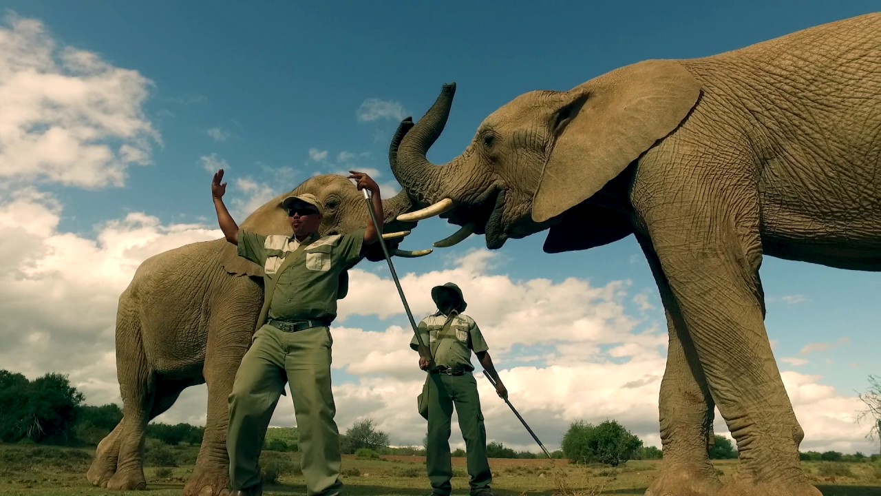 Buffelsdrift Game Lodge