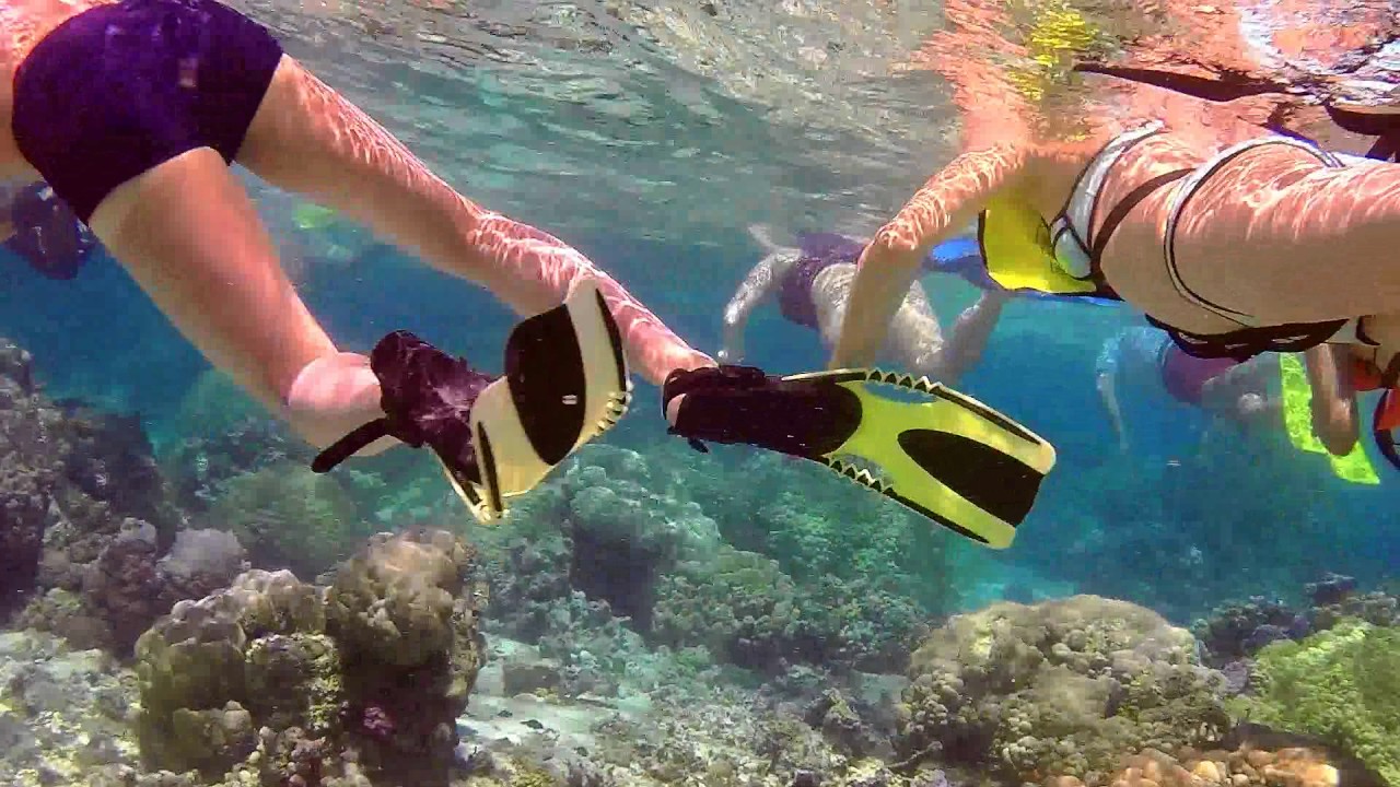 Bora Bora Snorkeling Adventure YouTube