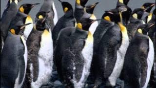 AZA MITAKILAKILAKA.wmv