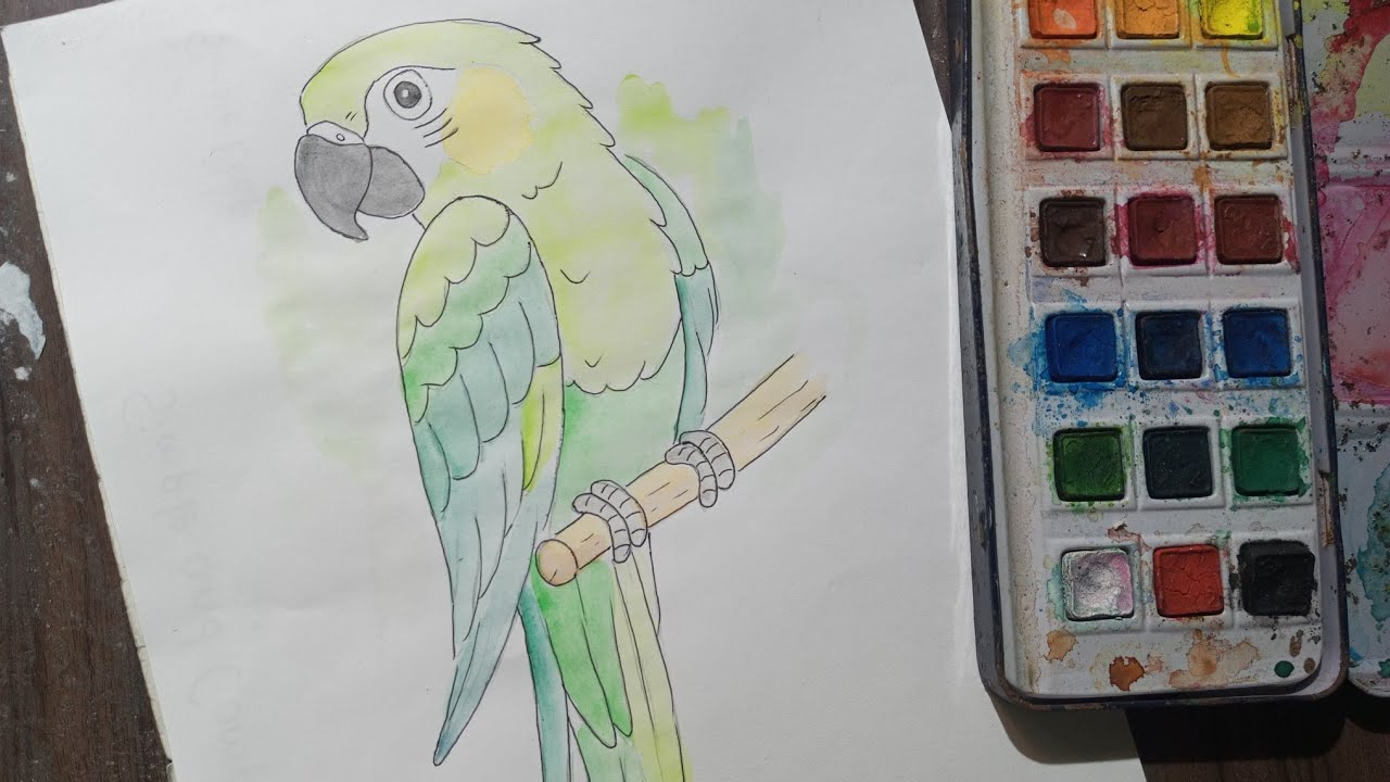 Parrot Painting | Watercolor Parrot Painting | How To Paint Parrot ...