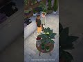 Paralives Open World Town Details #shorts