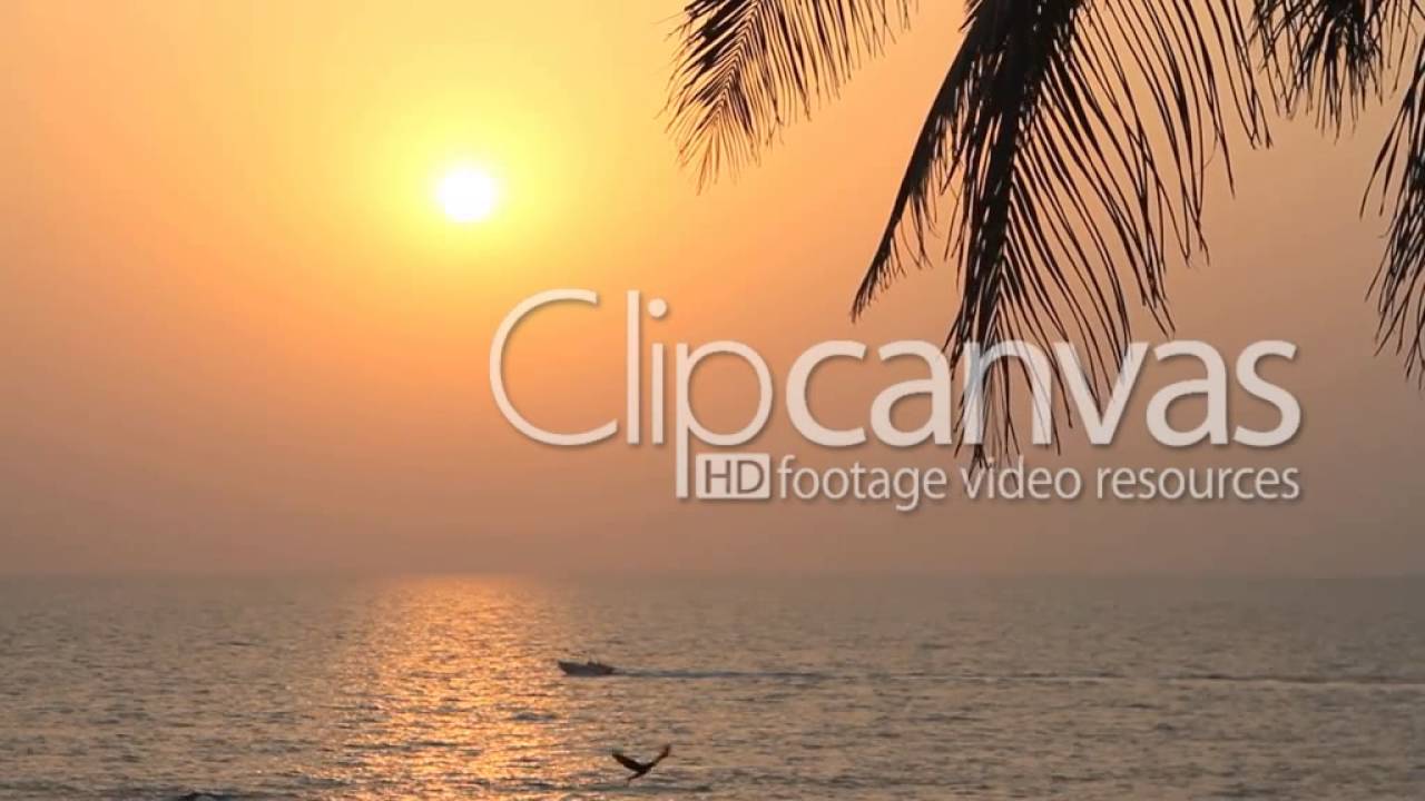 clipcanvas - Clip of the week. Paradise island