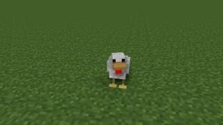 Exploding Chicken (Short Animation)