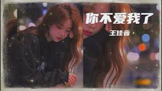 你不爱我了 - 王佳音 (你不爱我了 就别假装 还爱着我 , 让我以为分开是我的错)(2025年 12 月更新歌 ) (動態歌詞)
