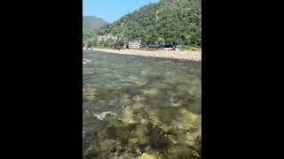 🌊 River Flow | Nature’s Peaceful Escape 🍃