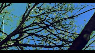sunshine - bluemoongirl (Official Lyric Video)