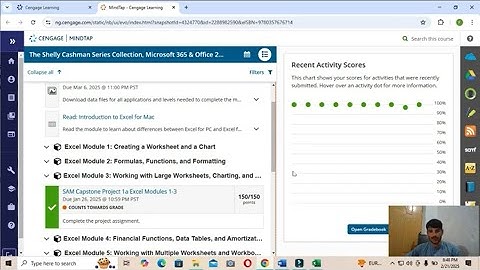 Shelly Cashman Excel 2019 | Module 5: SAM Project 1a | Media Hub