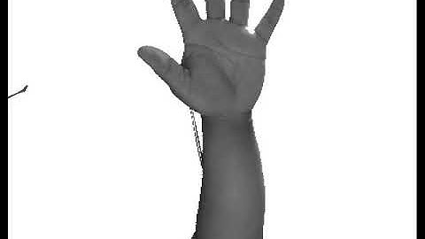 OPEN CV를 이용한 손금 검출 시스템 개발(손영역 추출)