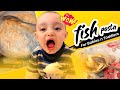 Fish pasta for toddlers  babyfood recipes  mamma  sons  ilhan milhan