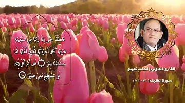 القارئ الطبيب احمد احمد نعينع | ما تيسر له من سوره الكهف المباركه | ممنتج جوده عاليه