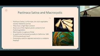 Clare Sunderman Honors Thesis Defense