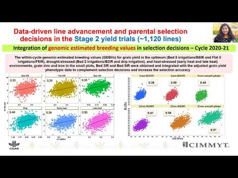 Philomin Juliana - Data Driven line advancement & parental selection in CIMMYT bread wheat breeding