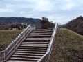 奈良県明日香村　自転車でGOTO!