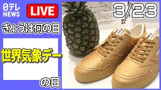 【きょうは何の日】『世界気象デー』の日 ――パイナップルの葉からスニーカー誕生！？　など  ニュースまとめライブ（日テレNEWS LIVE）