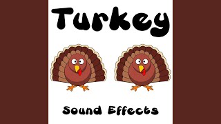 Turkey 4 screenshot 4