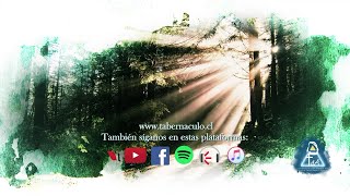 Video thumbnail of "Santo,Santo - Piensa en su Amor, Devocional Tabernáculo de Adoración"