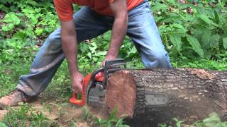 Celebrity Husqvarna 346XP vs Echo CS-490 Round 2 Wealth