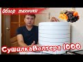 Обзор сушилки Волтера 1000 и что я в ней сушил