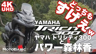 【キャンプ ツーリング】ヤマハ・トリシティ300とパワー森林香、どっちもすげぇｗ/ CAMPING WITH YAMAHA TRICITY300