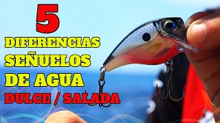 CARACTERISTICAS DIFERENTES de SEÑUELOS de agua DULCE Y SALADA