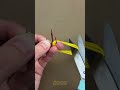 Budget Fishing Hack — No Expensive Gear Needed 🎣💵🪢