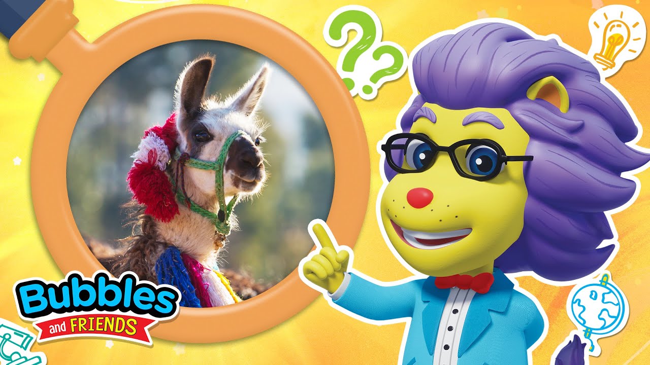 Узнайте о ламах | 5 забавных фактов о животных для детей с пузырями и друзьями