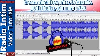 Creaza efectul reverber, fa karaoke, poti fi lautar, sau mare artist screenshot 4