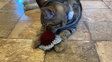 Flower Catnip Cat Toy Crochet Tutorial