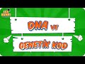 DNA VE GENETİK KOD | LGS Fen  #2022